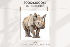 Safari Baby Zebra African Animals Clipart Savanna PNG Image Image Watercolor  Transparent Print invitation t-shirt designs sublimation kids printable digital watercolor cute African Baby Zebra, Safari Animals clipart, sublimation nursery drawing Savanna