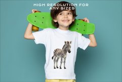 Safari Baby Zebra African Animals Clipart Savanna PNG Image Image Watercolor  Transparent Print invitation t-shirt designs sublimation kids printable digital