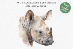 Safari Baby Zebra African Animals Clipart Savanna PNG Image Image Watercolor  Transparent Print invitation t-shirt designs sublimation kids printable digital watercolor cute African Baby Zebra, Safari Animals clipart, sublimation nursery drawing Savanna