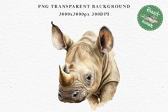 Safari Baby Zebra African Animals Clipart Savanna PNG Image Image Watercolor  Transparent Print invitation t-shirt designs sublimation kids printable digital watercolor cute African Baby Zebra, Safari Animals clipart, sublimation nursery drawing Savanna