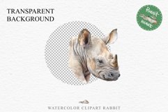 Safari Baby Zebra African Animals Clipart Savanna PNG Image Image Watercolor  Transparent Print invitation t-shirt designs sublimation kids printable digital watercolor cute African Baby Zebra, Safari Animals clipart, sublimation nursery drawing Savanna