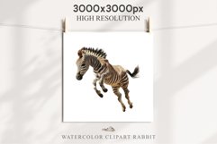 Safari Baby Zebra African Animals Clipart Savanna PNG Image Image Watercolor  Transparent Print invitation t-shirt designs sublimation kids printable digital watercolor cute African Baby Zebra, Safari Animals clipart, sublimation nursery drawing Savanna