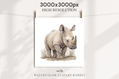 Safari Baby Zebra African Animals Clipart Savanna PNG Image Image Watercolor  Transparent Print invitation t-shirt designs sublimation kids printable digital watercolor cute African Baby Zebra, Safari Animals clipart, sublimation nursery drawing Savanna