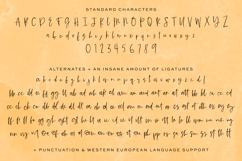 Saffron Night Script Product Image 10