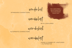 Saffron Night Script Product Image 8