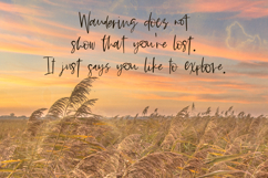 Saffron Night Script Product Image 9