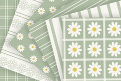 Cottage sage daisy seamless patterns Digital paper bundle Product Image 2