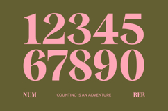 Sagira Beverly - Bold Tall Serif Font Product Image 11