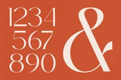 Sagira Blush - Elegant Thin Sans Serif Font Product Image 7