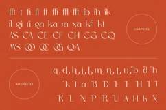 Sagira Blush - Elegant Thin Sans Serif Font Product Image 19