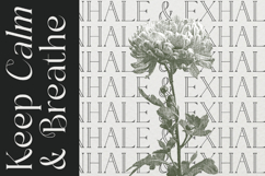 Sainer Bagora - Modern Serif Typeface Product Image 6