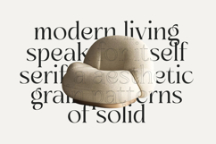 Sainer Bagora - Modern Serif Typeface Product Image 7