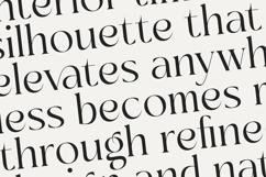 Sainer Bagora - Modern Serif Typeface Product Image 15