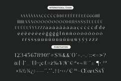 Sainer Bagora - Modern Serif Typeface Product Image 18