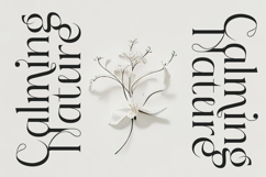 Sainer Bagora - Modern Serif Typeface Product Image 19