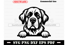 Peeking Saint Bernard Dog SVG PNG DXF EPS PDF Product Image 1