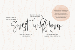 Saison Script Product Image 4