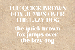Saitering | A Modern Classy Sans Serif Font Product Image 4