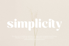 Saitering | A Modern Classy Sans Serif Font Product Image 6