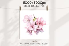 Sakura Cherry Blossom Bouquet Spring Flower Floral Clipart PNG Watercolor Transparent wedding invitation shirt designs sublimation printable digital bloom  watercolor Sakura Cherry Blossom Spring Floral basket, Flowers clipart, sublimation wedding art