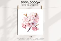 Sakura Cherry Blossom Bouquet Spring Flower Floral Clipart PNG Watercolor Transparent wedding invitation shirt designs sublimation printable digital bloom  watercolor Sakura Cherry Blossom Spring Floral basket, Flowers clipart, sublimation wedding art