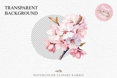 Sakura Cherry Blossom Bouquet Spring Flower Floral Clipart PNG Watercolor Transparent wedding invitation shirt designs sublimation printable digital bloom  watercolor Sakura Cherry Blossom Spring Floral basket, Flowers clipart, sublimation wedding art