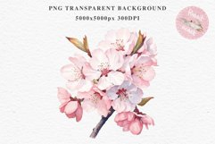 Sakura Cherry Blossom Bouquet Spring Flower Floral Clipart PNG Watercolor Transparent wedding invitation shirt designs sublimation printable digital bloom  watercolor Sakura Cherry Blossom Spring Floral basket, Flowers clipart, sublimation wedding art