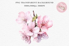 Sakura Cherry Blossom Bouquet Spring Flower Floral Clipart PNG Watercolor Transparent wedding invitation shirt designs sublimation printable digital bloom  watercolor Sakura Cherry Blossom Spring Floral basket, Flowers clipart, sublimation wedding art