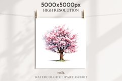 Sakura Cherry Tree Blossom Spring Flowers Floral Bouquet PNG Watercolor Transparent wedding invitation shirt designs sublimation printable digital bloom  watercolor Sakura Cherry Blossom Spring Japanese Floral Bouquet, Flowers clipart sublimation wedding