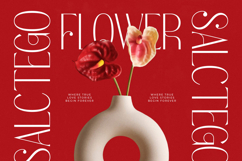 Salctego - Modern Sans Serif Font Product Image 3