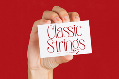 Salctego - Modern Sans Serif Font Product Image 10