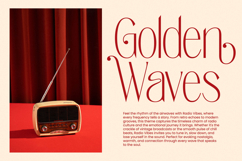Salctego - Modern Sans Serif Font Product Image 11