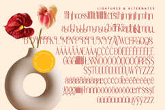 Salctego - Modern Sans Serif Font Product Image 18