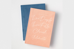 Salerinta Depthon - New Elegant Script Font Product Image 4