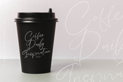 Salerinta Depthon - New Elegant Script Font Product Image 12