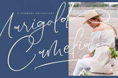 Salerinta Depthon - New Elegant Script Font Product Image 13