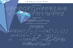 Salerinta Depthon - New Elegant Script Font Product Image 18