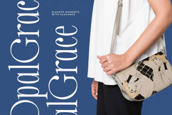 Salgirfen - New Modern Serif Font Product Image 3