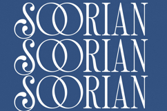 Salgirfen - New Modern Serif Font Product Image 9