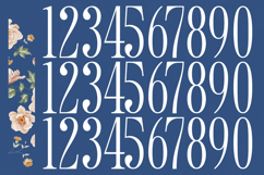 Salgirfen - New Modern Serif Font Product Image 17