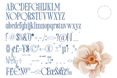 Salgirfen - New Modern Serif Font Product Image 18