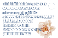 Salgirfen - New Modern Serif Font Product Image 19