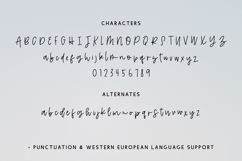 Saltwater Script Product Image 10