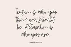 Saltwater Script Product Image 6