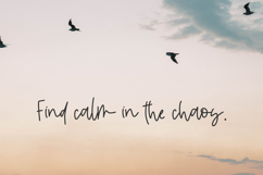 Saltwater Script Product Image 7