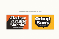 Saltza A Decorative Handcrafted Font Product Image 11