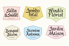 Saltza A Decorative Handcrafted Font Product Image 2