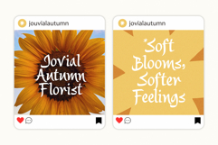 Saltza A Decorative Handcrafted Font Product Image 3