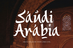 Saltza A Decorative Handcrafted Font Product Image 5