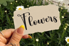 Sample Vacation Product Image 5